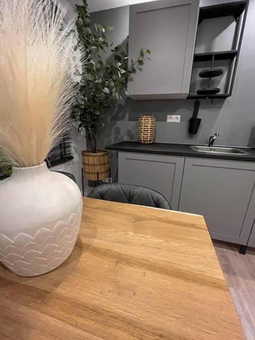 Gezellig Appartement, Gerenoveerd Eind 2022 Tilburg Kültér fotó